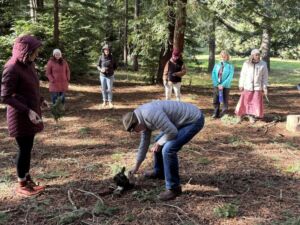 Nature And Forest Therapy - Association of Nature & Forest Therapy