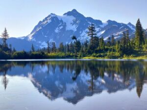 Nature And Forest Therapy - Association of Nature & Forest Therapy