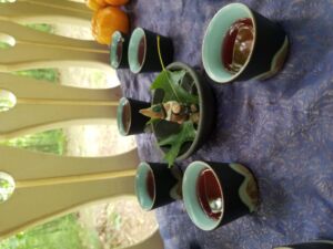 Nature And Forest Therapy - Association of Nature & Forest Therapy