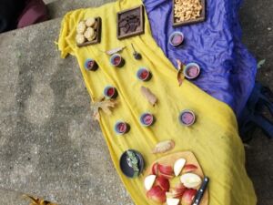 Nature And Forest Therapy - Association of Nature & Forest Therapy