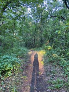 Nature And Forest Therapy - Association of Nature & Forest Therapy