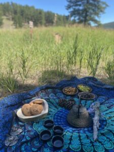Nature And Forest Therapy - Association of Nature & Forest Therapy