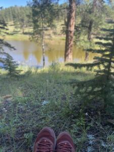 Nature And Forest Therapy - Association of Nature & Forest Therapy
