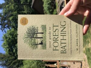 Nature And Forest Therapy - Association of Nature & Forest Therapy
