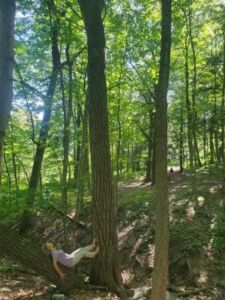 Nature And Forest Therapy - Association of Nature & Forest Therapy