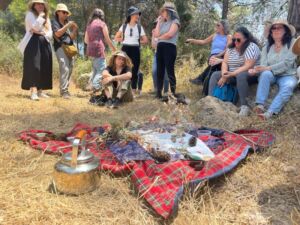 Nature And Forest Therapy - Association of Nature & Forest Therapy