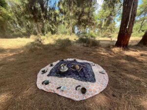 Nature And Forest Therapy - Association of Nature & Forest Therapy