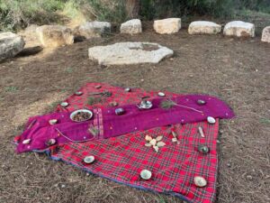 Nature And Forest Therapy - Association of Nature & Forest Therapy