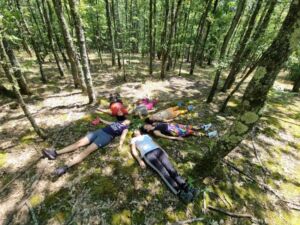 Nature And Forest Therapy - Association of Nature & Forest Therapy