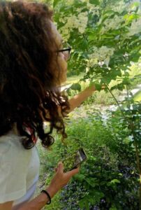 Nature And Forest Therapy - Association of Nature & Forest Therapy