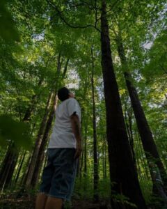 Nature And Forest Therapy - Association of Nature & Forest Therapy