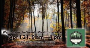 Nature And Forest Therapy - Association of Nature & Forest Therapy