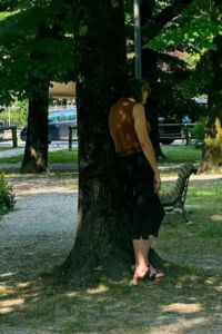 Nature And Forest Therapy - Association of Nature & Forest Therapy