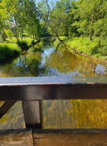 Nature And Forest Therapy - Association of Nature & Forest Therapy