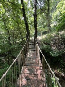 Nature And Forest Therapy - Association of Nature & Forest Therapy