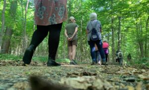 Nature And Forest Therapy - Association of Nature & Forest Therapy