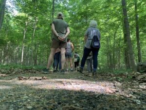 Nature And Forest Therapy - Association of Nature & Forest Therapy