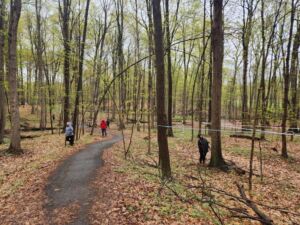 Nature And Forest Therapy - Association of Nature & Forest Therapy