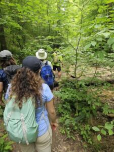 Nature And Forest Therapy - Association of Nature & Forest Therapy