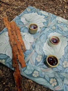 Nature And Forest Therapy - Association of Nature & Forest Therapy