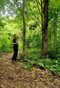 Nature And Forest Therapy - Association of Nature & Forest Therapy