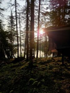 Nature And Forest Therapy - Association of Nature & Forest Therapy
