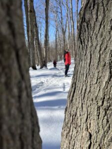 Nature And Forest Therapy - Association of Nature & Forest Therapy