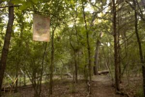 Nature And Forest Therapy - Association of Nature & Forest Therapy