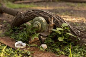 Nature And Forest Therapy - Association of Nature & Forest Therapy