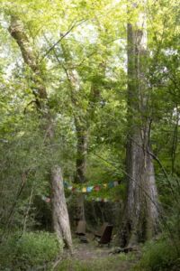 Nature And Forest Therapy - Association of Nature & Forest Therapy
