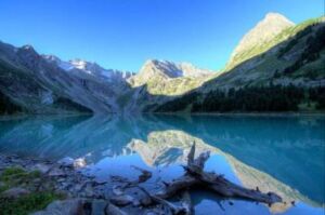Nature And Forest Therapy - Association of Nature & Forest Therapy