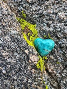 Nature And Forest Therapy - Association of Nature & Forest Therapy