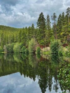 Nature And Forest Therapy - Association of Nature & Forest Therapy