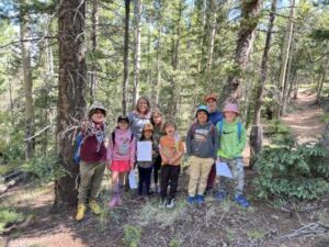Nature And Forest Therapy - Association of Nature & Forest Therapy