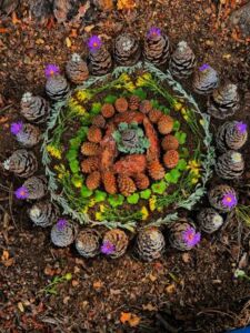 Nature And Forest Therapy - Association of Nature & Forest Therapy