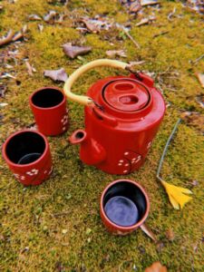 Nature And Forest Therapy - Association of Nature & Forest Therapy