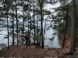 Nature And Forest Therapy - Association of Nature & Forest Therapy