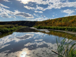Nature And Forest Therapy - Association of Nature & Forest Therapy