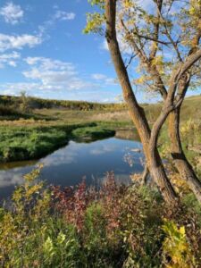 Nature And Forest Therapy - Association of Nature & Forest Therapy
