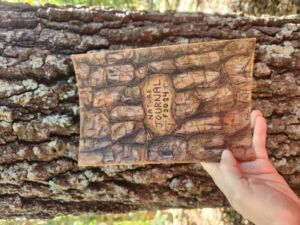 Nature And Forest Therapy - Association of Nature & Forest Therapy