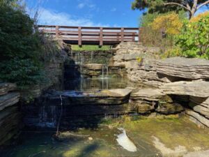 Nature And Forest Therapy - Association of Nature & Forest Therapy