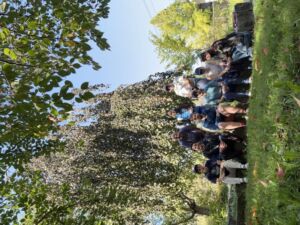 Nature And Forest Therapy - Association of Nature & Forest Therapy