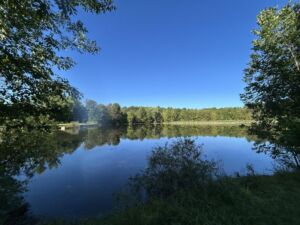 Nature And Forest Therapy - Association of Nature & Forest Therapy