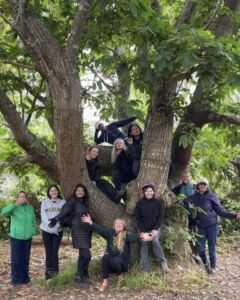 Nature And Forest Therapy - Association of Nature & Forest Therapy
