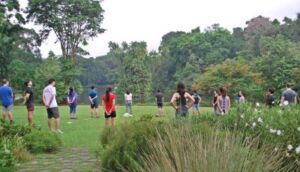 Nature And Forest Therapy - Association of Nature & Forest Therapy