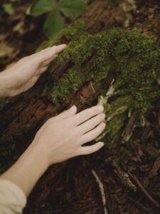 Ntentionally Outdoors Guided Forest Therapy Walks Forest Bathing Hands Touching Moss Log - Association of Nature & Forest Therapy