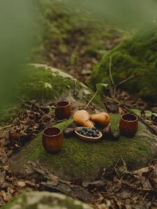 Ntentionally Outdoors Guided Forest Therapy Walks Forest Bathing Tea Ceramony Woods - Association of Nature & Forest Therapy
