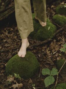 Ntentionally Outdoors Guided Forest Therapy Walks Forest Bathing Walking Woods Moss Rocks Barefoot - Association of Nature & Forest Therapy