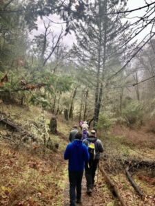 People Hiking In A Line - Association of Nature & Forest Therapy