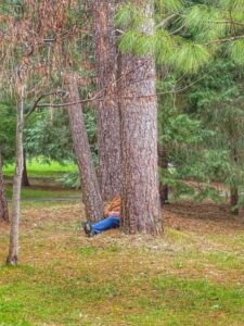 Dawn Cogliser - Association of Nature & Forest Therapy